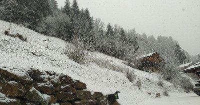 retour de la neige !