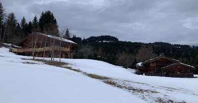 Grisaille avant champagne (flocons)