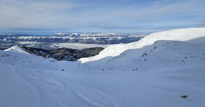 Personne et fort bon. 