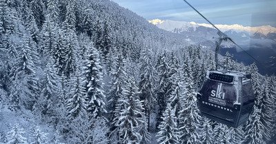 L&rsquo;ann&eacute;e commence bien ☃️☃️☃️