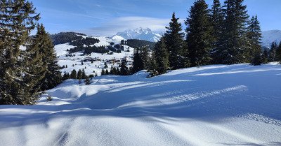 Tr&egrave;s bon sur piste, tr&egrave;s moyen en dehors