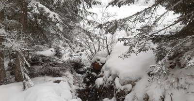 Grosse neige entre 1300 et 1800