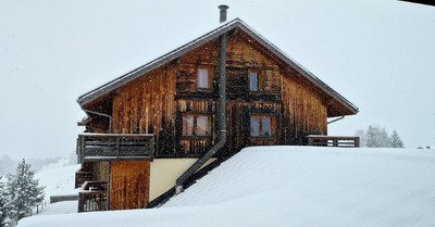 Y en a plein partout