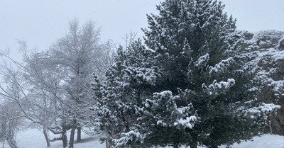 T&eacute;l&eacute;chargement de l&rsquo;hiver  ❄️👌