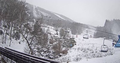 L'or blanc tombe enfin!