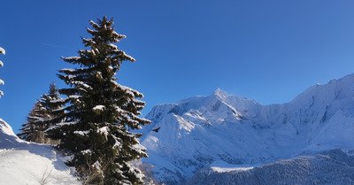 Poudre, carton et glace