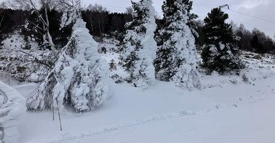 Toujours frais mais c'est beau