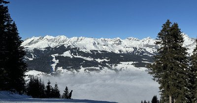 Bien au dessus de 1600