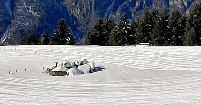 La r&eacute;galade en For&ecirc;t...🤩👍