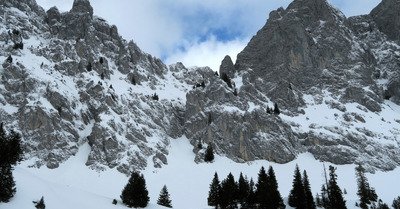 Les peaux volent dans les bernoises