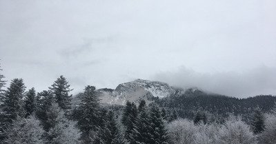 Pi&eacute;mont pyr&eacute;n&eacute;en 1850m.