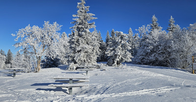 Un bien beau samedi 