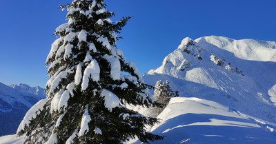 Belles pistes, belle ambiance mais plut&ocirc;t bof ailleurs 