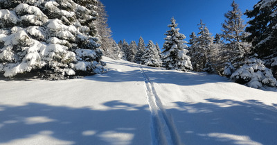 Peuf requinnesque au Semnoz !