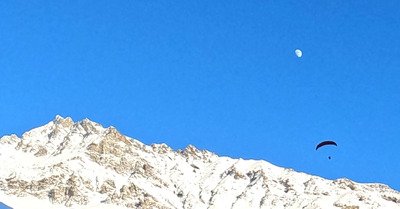 Encore une journ&eacute;e peuf au compteur. 