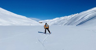 &laquo;&nbsp;Vol au-dessus d&rsquo;un nid de coucou&nbsp;&raquo;