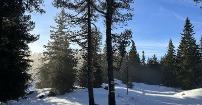 Je n&rsquo;y croyais pas trop et pourtant &ccedil;a skie encore 