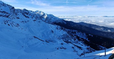 Laisse b&eacute;ton....