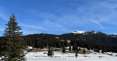 Chauffe l&rsquo;Arselle