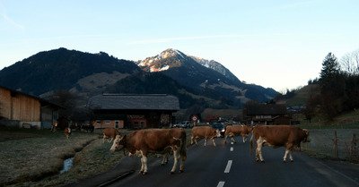 Bient&ocirc;t ce sera rando en slip de bain