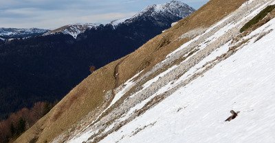 De la boue, de la glace puis une belle moquette d'avril au dessus...
