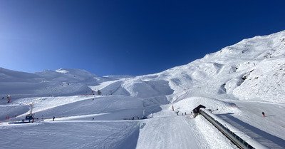 Happy Blue-bird-day 🫶🏽