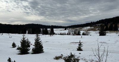 A l&rsquo;Arselle&hellip; Va falloir tenir jusqu&rsquo;&agrave; vendredi ☹️