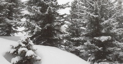 LPN 1600m &agrave; 9:00