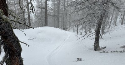 La soupe &agrave; la soupe