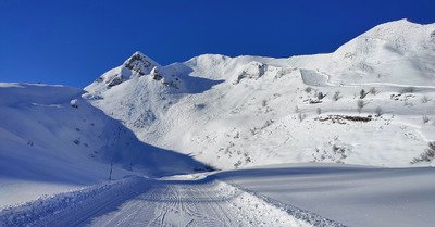 Un coup de [bo] blanc 