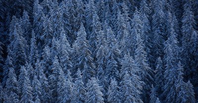 Tout est plus blanc, tout est plus beau