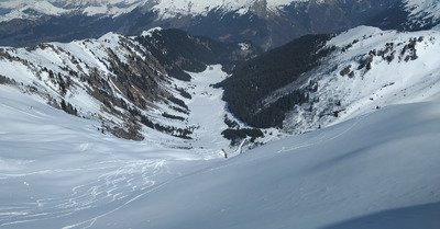 Avec les chamois, les choucas et les moutons 