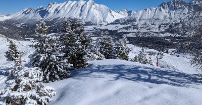 The inevitable return of the great white dope