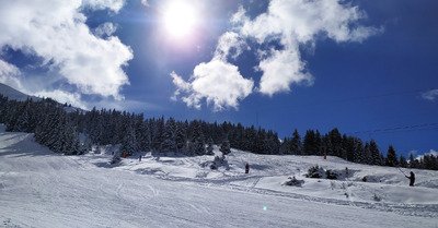 exploration dans les sapins enneig&eacute;s