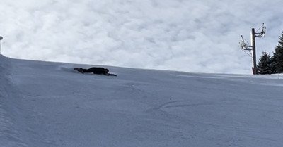 Matin&eacute;e carving 5/5