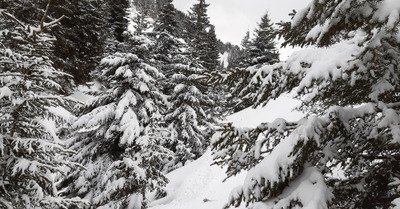Petite couche suppl&eacute;mentaire 