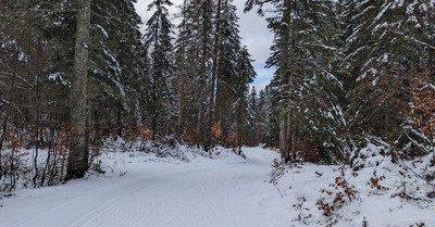 Retour de la neige dans le haut - jura