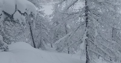 Poudreuse 5 &eacute;toiles