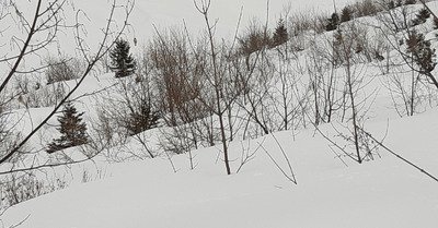 Pas stable sur les pentes peu ski&eacute;es