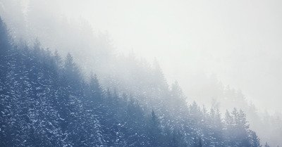 Activit&eacute;s familliales