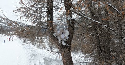 La LPN monte, mais le gavage continue