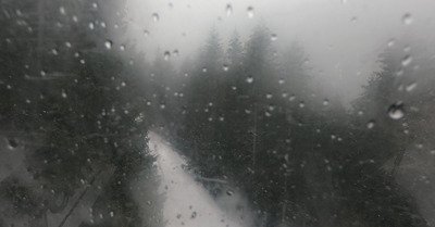  Dr&ocirc;le de samedi ! 