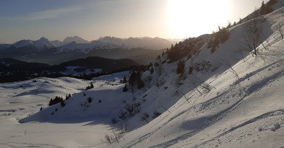 De quoi plaire &agrave; tout le monde