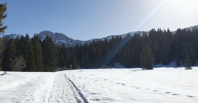 Sentier du littoral &agrave; Gli&egrave;res Plage