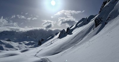 Tour sous les r&acirc;teaux 