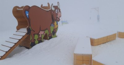 3 &agrave; 5cm de fra&icirc;che et jour blanc