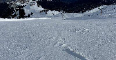 Belle matin&eacute;e ensoleill&eacute;e