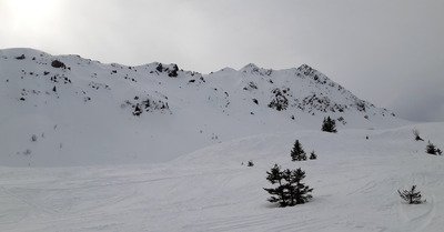 Tr&egrave;s bonne matin&eacute;e !
