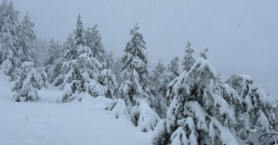 &Eacute;pisode neigeux m&eacute;diterran&eacute;en :)