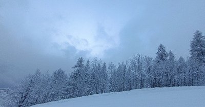 Du velours dans son &eacute;crin 